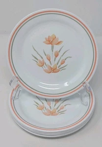 Vintage Corelle Peach Floral 10 ¼” Dinner Plates Set of 6 Discontinued Pattern - Picture 1 of 8