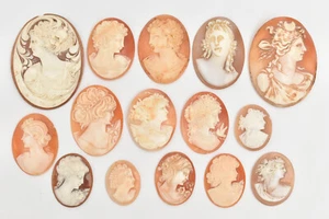 15pcs ASSORTED SHELL CAMEOS - Picture 1 of 5