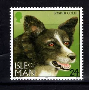 ISLE of MAN Sc #717 MNH 1996 Domestic Dog Breeds "Border Collie" - Picture 1 of 1