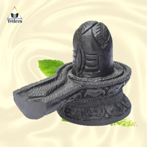 Adbhut Shivling on Shaligram / Shaligram Maha Shivling - Bild 1 von 4