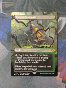 Verdant Catacombs - Special Guest | Tarkir: Dragonstorm | NM | MTG - Picture 1 of 1
