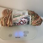  Vintage Caron Simply Soft Yarn 2.5 oz Native Ombre [NEW]