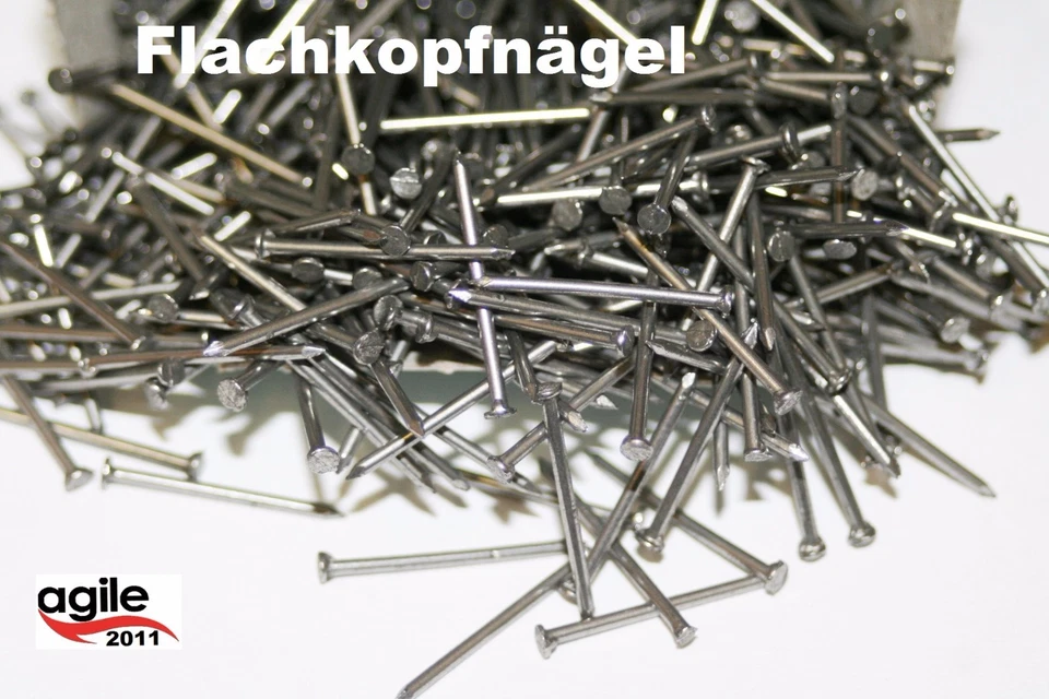 GKM / DRESSELHAUS / REISSER 50 Stück Nägel Flachkopf 0,8 / 1,0 / 1,2 mm Nagel Eisen blank Flachkopfstifte