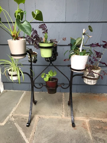 Vintage Antique Elegant Wrought Iron PLANT STAND - 9 Holders - BEAUTIFUL! Pickup Cover