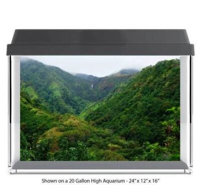 RIPPER GRAPHICS Lush Tropical Jungle Polyester Fish Tank Glass Back Drop Aquarium Background New