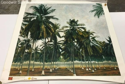 Impresión Giclee Sobre Lienzo Palmeral (2004) Pedro Diego Alvarado Rivera 323/3000 Foto 1 de 4