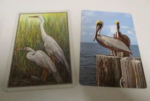 Herons and Pelicans - Two Swap Cards - Wetlands and Sea Birds - Vintage - 1970s - Picture 1 of 7