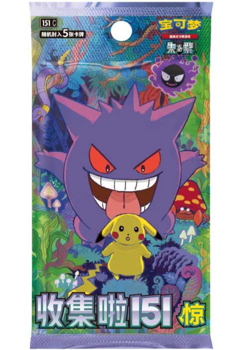 精灵宝可梦TCG 密封收藏卡游戏包中国| eBay