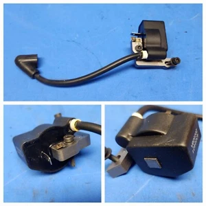 Homelite | Trimlite | Easy Reach | Trim n Edge | Ignition Module Coil  - Picture 1 of 5