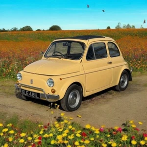 1973 Classic Fiat 500 - Rare RHD - Picture 1 of 19