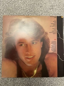 ANDY GIBB After Dark 1980 USA RSO vinyl LP + INNER - Picture 1 of 4