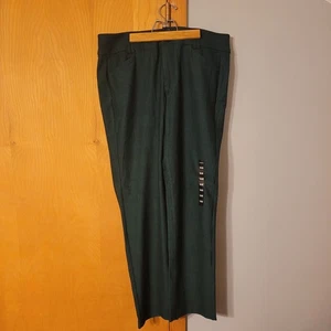 Neu mit Etikett Studio by Torrid Damenhose Größe 14 Reg grün Hose gerade 36 x 30 - Bild 1 von 16