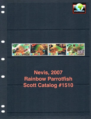 Valor Scott de $4,00 - NEVIS 2007 pez loro arco iris mar Caribe CV MNH NH UMM Foto 1 de 4