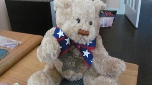 100th Anniversary Teddy Bear 2002 Hardly used has tags very plush - Picture 1 of 7