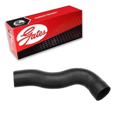Gates Radiator Coolant Hose Upper - Radiator To Pipe For 2012-2017 Volvo VNM Foto 1 de 3