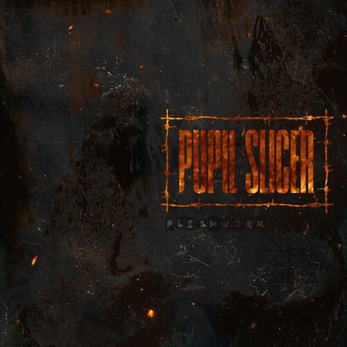 Pupil Slicer - Fleshwork [Used Very Good Vinyl LP] - Image 1 of 1
