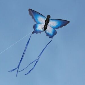 55“ Beautiful Butterfly Kite Outdoor Games and Activities Single Line Kite Kids
