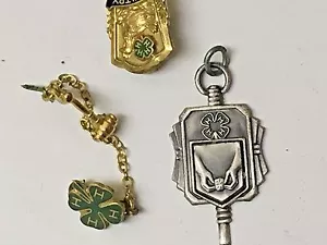 DREI 4 H PINS UND ANHÄNGER - Bild 1 von 5