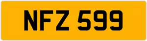 NFZ 599 N 3x3 DATELESS PRIVATE NUMBER PLATE NAT NAD NADIA NEL NEIL NIALL NINA NS - Picture 1 of 1