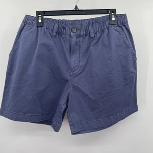 NWOT Chubbies The Weekend Has Arrived Stretch Twill 5.5'' LARGE Shorts blue - Picture 1 of 7