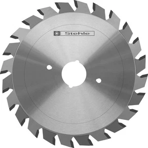 Ritz-Kreissägeblatt HW/HM 80x2,8-3,6x 20 Z=2x10 für Felder/Holzkraft - Bild 1 von 1