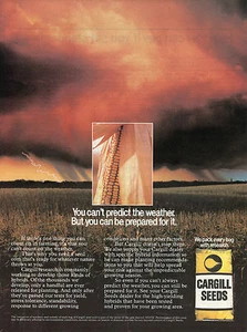 1983 Print Ad of Cargill Corn Seeds Thunderstorm can’t predict the weather - Picture 1 of 2