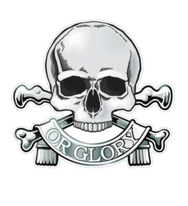 17./21. Lancers (SK76) wasserdichte Vinyl Aufkleber Abziehbild Armee - Bild 1 von 8