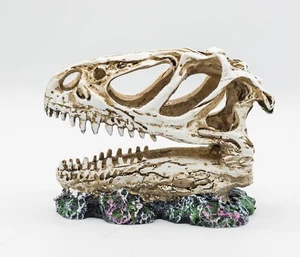 ProRep Allosaurus Skull 12.5x6x10cm Reptile Vivarium Ornament Aquarium - Picture 1 of 1