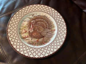 NEW & PERFECT ROYAL STAFFORD THANKSGIVING TURKEY 11" PLATE (s) - Picture 1 of 3
