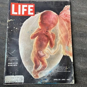 Vintage Life Magazine April 30 1965 Drama Of Life Before Ads Budweiser Chrysler - Picture 1 of 18