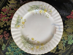 Royal Albert FLOWER OF MONTH Bone China Salad 8”Plate October Yellow Buttercup - Imagen 1 de 4