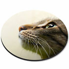 Round Mouse Mat - Cute Cats Face Close Up Cat Pet Office Gift #14389