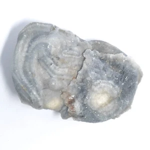 Interessante CHALCEDON Rosette ca. 37 x 24 x 8mm Chalcedonrose BRASILIEN 2401 - Bild 1 von 7