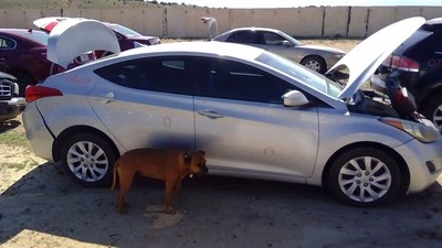 Guantera ELANTRA 2011 364731 Foto 1 de 4