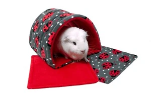 Tunnel in pile porcellino d'India e piccoli animali. - Foto 1 di 27