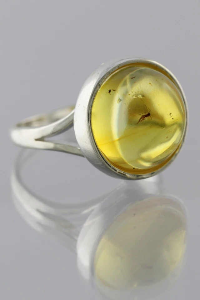 Anillo Ajustable Plata Ámbar Báltico Genuino Inclusión Insecto Fósil 191029-22 Foto 1 de 4