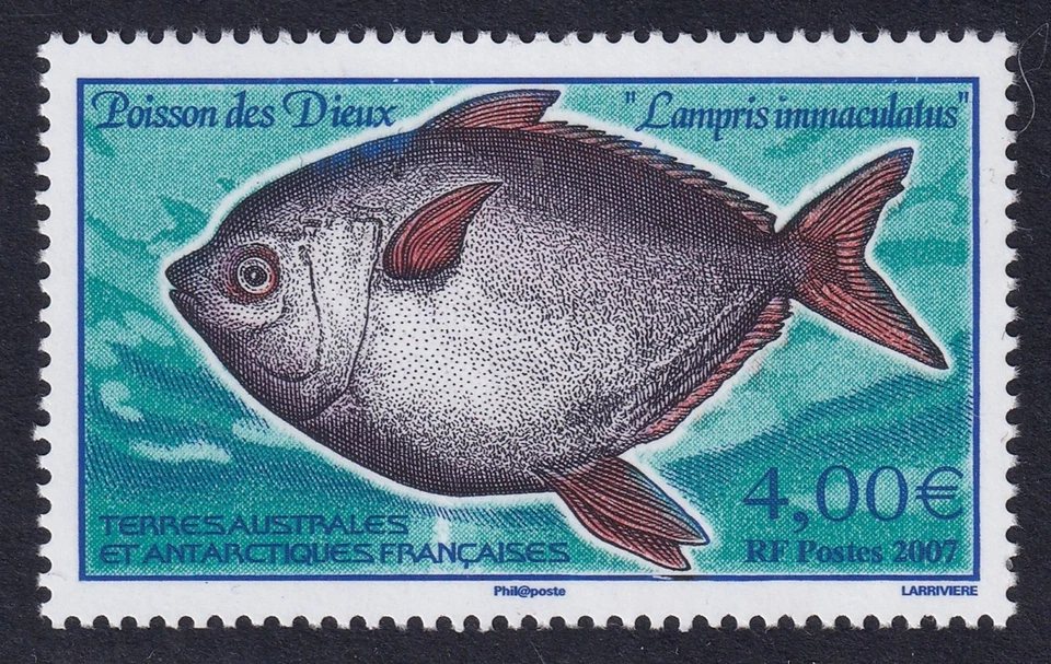 F. S. A. T. 2007 Lampris Immaculatus €4.00 SG 581 MNH/** (CV £24) - Image 1 of 1