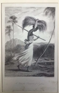 Antique Steel Engraving Print India  William Daniell Art Ceylon Sri Lanka Lady - Picture 1 of 3
