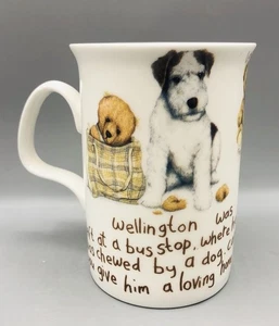 Roy Kirkham England Fine Bone China Kaffee Tee Becher LOST BEAR Wellington - Bild 1 von 11