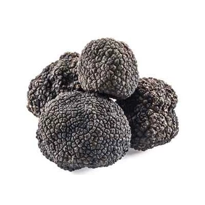 Trufas negras de invierno, Tuber Melanosporum - Imagen 1 de 11