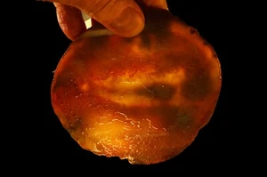 SELTENE 1960er Achat Geode Platte 5" x 5" Lapidar Cabbing grobe Scheibe Felsplatte - Bild 1 von 2