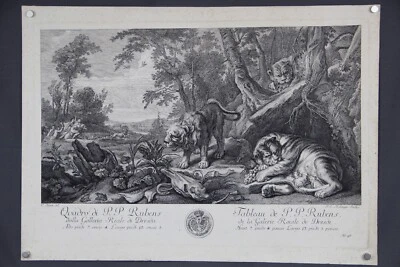 Löwenjagd in Landschaft mit wilden Tieren Kupferstich original Johann Ridinger - Bild 1 von 4