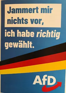 12 XL Aufkleber Niemehr SPD braun grün rot AFD wieso 5w 10w A3 A4 A6 KFZ C1 C4 L - Bild 1 von 24