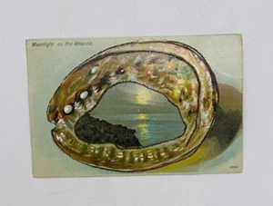 Vintage Antique Postcard Glitter Pearls Seashell Conch Moonlight Atlantic Ocean - Picture 1 of 2