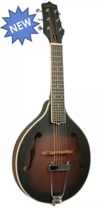 Gold Tone A-Style 6-String Mandolin Mando-Guitar Acoustic/Electric w/ Gig Bag - Picture 1 of 10