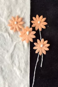 20 Blumen Pfirsich Gänseblümchen Maulbeere Papier kleine Blume Miniaturen Träne Bären Ostern - Bild 1 von 3