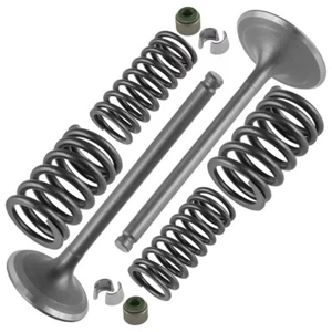 Intake & Exhaust Valve Kit For Honda Foreman Rubicon 500 TRX500 TRX520 4x4 05-23 - Picture 1 of 7