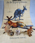Lovely Vintage Souvenir Bundle From Australia Flock Kangaroo, Koala & Tea Towel