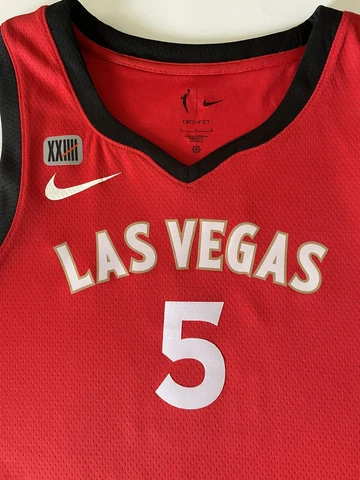 DEARICA HAMBY Las Vegas Aces WNBA Nike Explorer Edition Jersey Large (48) Unisex Cover