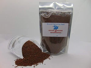 Broccoli Seeds for Sprouting Microgreens "COOL BEANS n SPROUTS"  - Picture 1 of 2